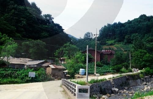 금대계곡_04