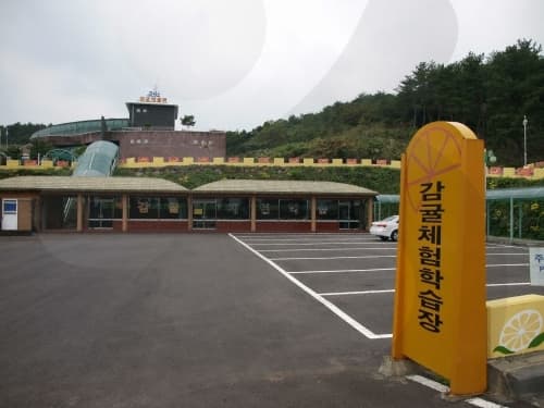 서귀포감귤박물관_23