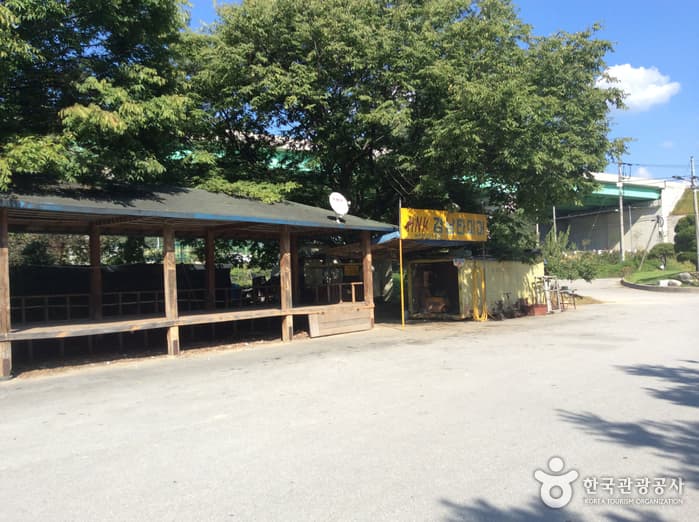 충북_보은_구병산02