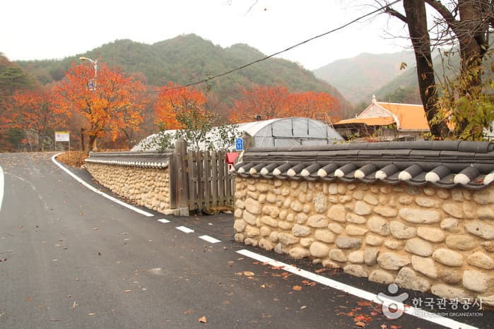 전북_무주 지전마을 옛 담장02