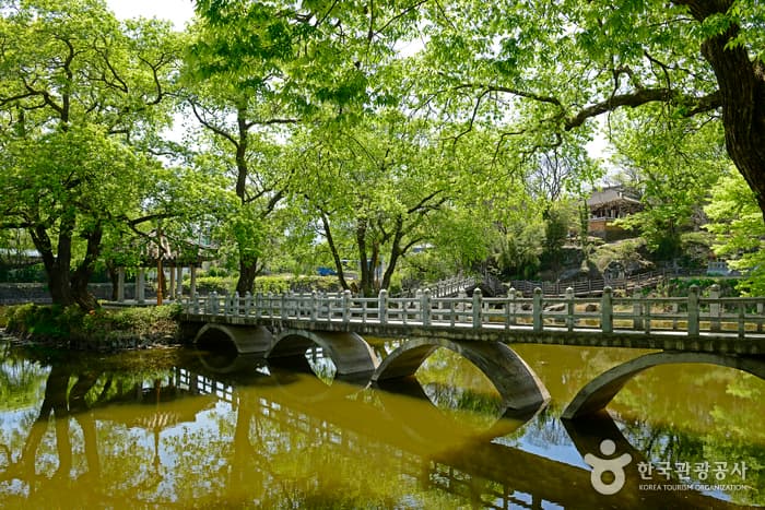 경남_함안_꽃불 흩날리는 춘야(春夜)의 낙화(落火) 쇼! 함안낙화놀이_05