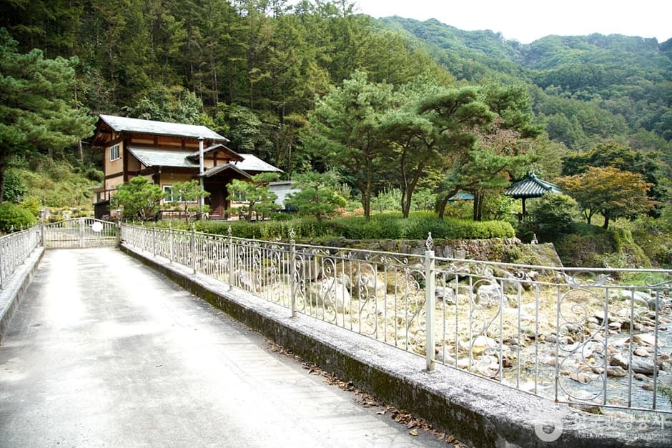금대계곡 (10)