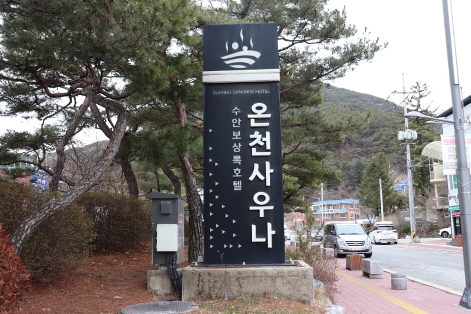 수안보온천 관광특구 (10)