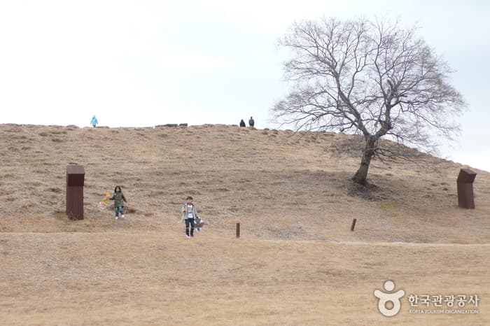 대성동고분박물관10