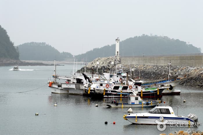 泰安茅项港海鲜(海参)节(태안 모항항 수산물(해삼) 축제)
