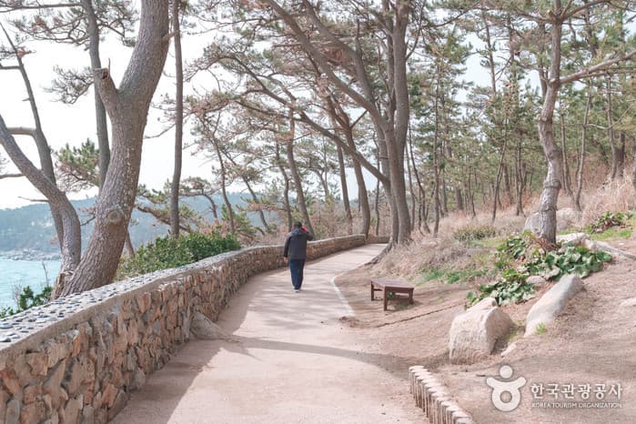 전국_냥 집사 전격 소환! 이색 고양이 여행지, 나만 없어! 야옹이! 지친 마음 위로 받는 길냥이와의 하루 15