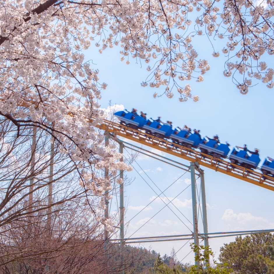 이월드 (9)