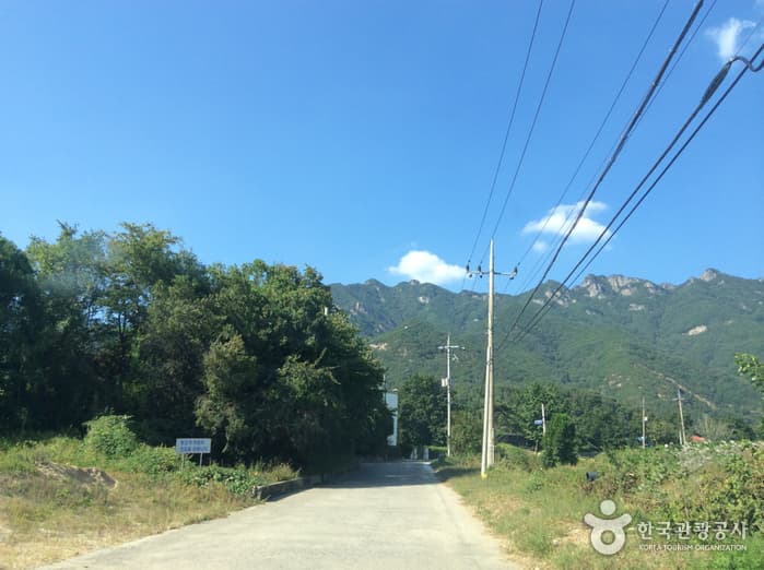 충북_보은_구병산04