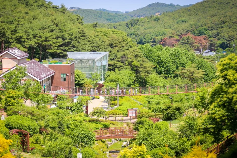 삼선산수목원_전경1