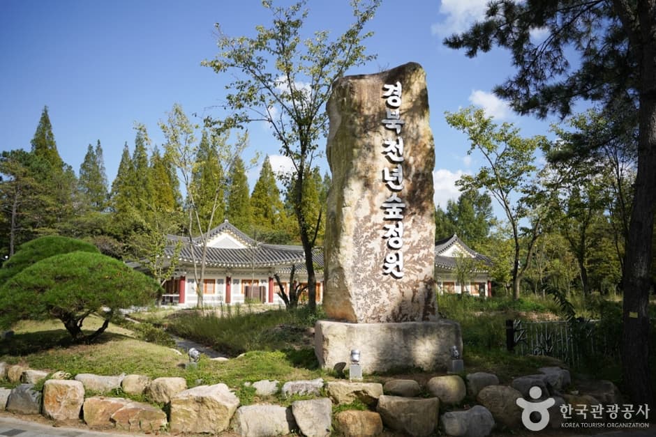 庆尚北道千年森林庭院（경북천년숲정원）