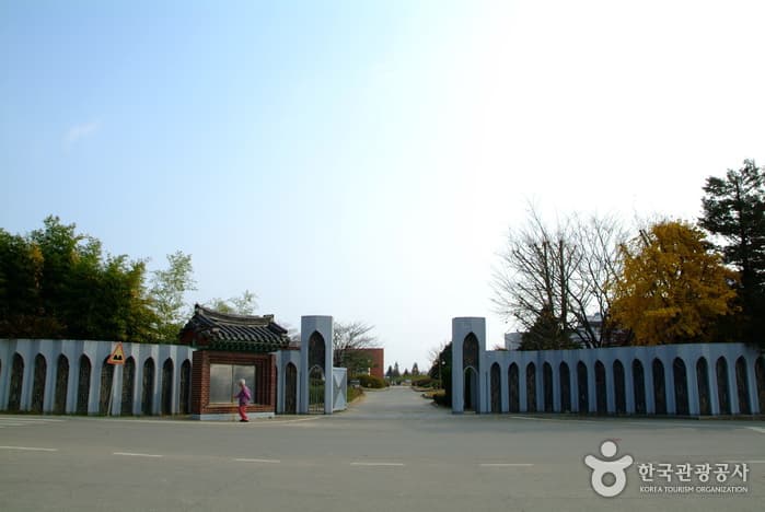 인생샷 남기고 추억 남기고