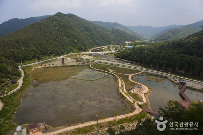 전북_정읍_구절초 향기를 맡으며 추령천을 따라 옥정호까지 힐링산책12