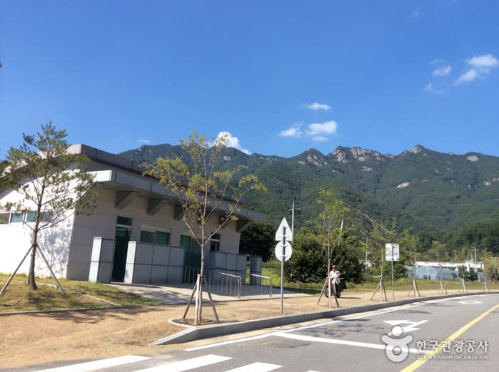 충북_보은_구병산05