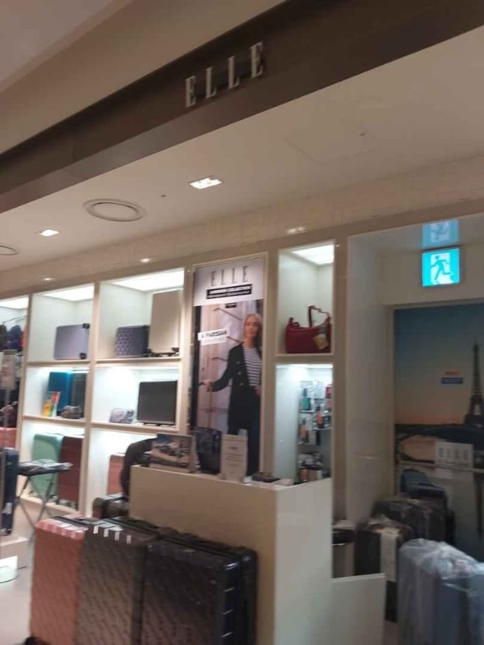 [事后免税店]ELLE엘르