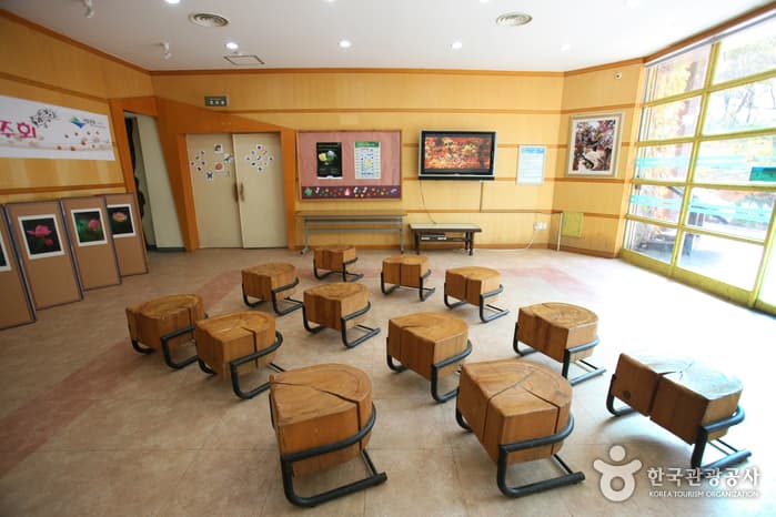 전라북도_정읍시_내장산 탐방안내소_033