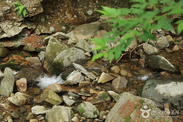 충청북도_진천군_연곡계곡_013