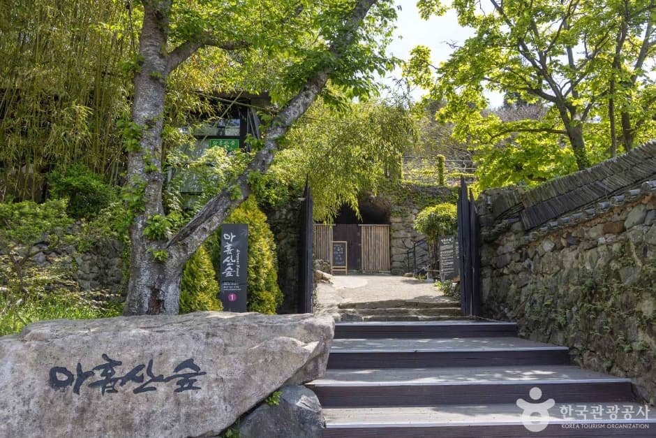 Ahopsansup Forest (아홉산숲)