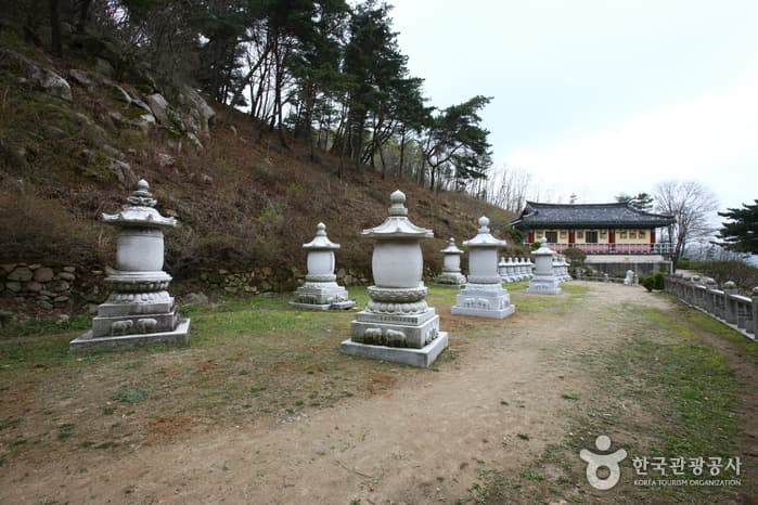 팔공산자연공원(갓바위지구)_65