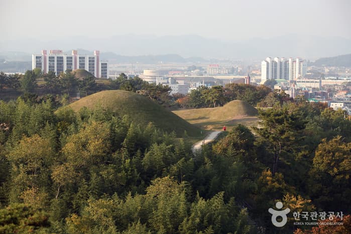 경남_함안 말이산고분군 01
