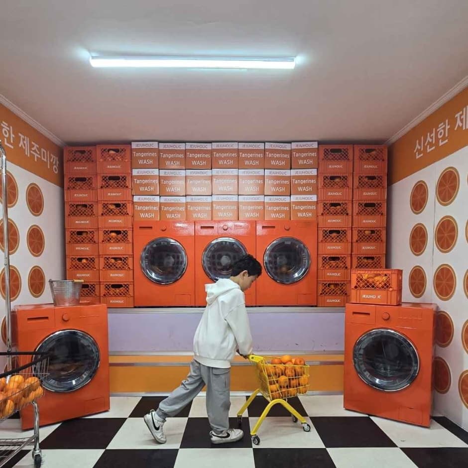 2024_제주홀릭뮤지엄 (3)