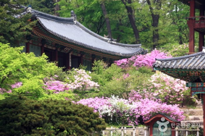 Changdeokgung Palace