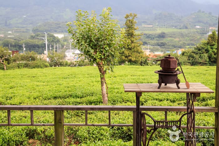 Maeam Tea Museum (매암차문화박물관)