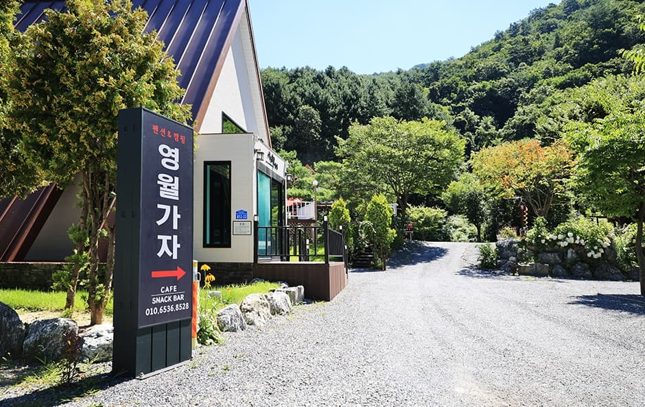 영월가자