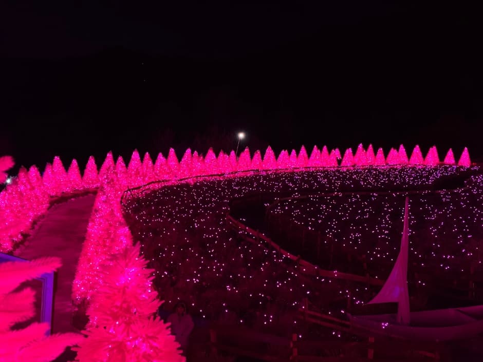 2024 허브아일랜드 불빛동화축제 1