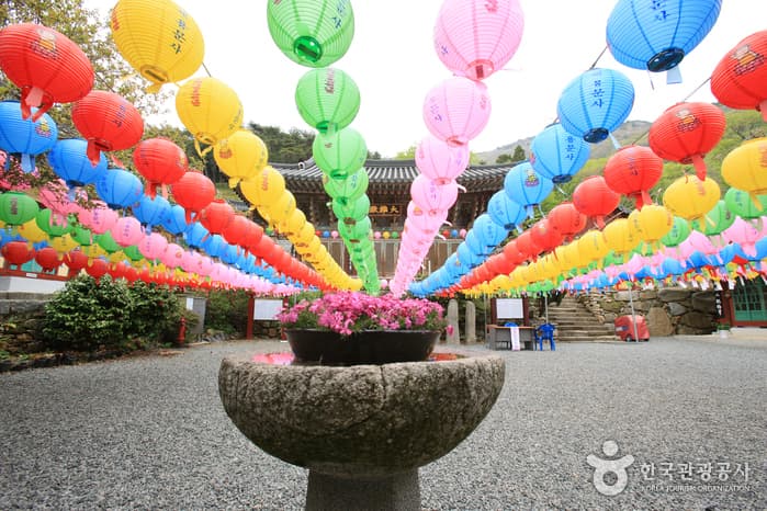 경상남도_남해군_호구산 용문사_040