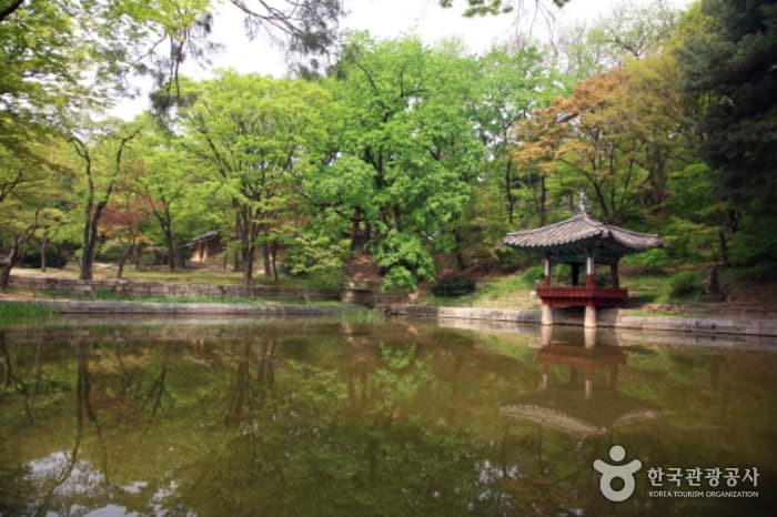 Changdeokgung Palace