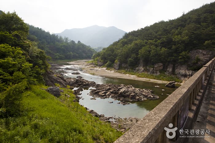 전북_정읍_구절초 향기를 맡으며 추령천을 따라 옥정호까지 힐링산책16
