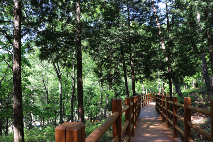 国立大云山治愈林 (국립대운산치유의숲)