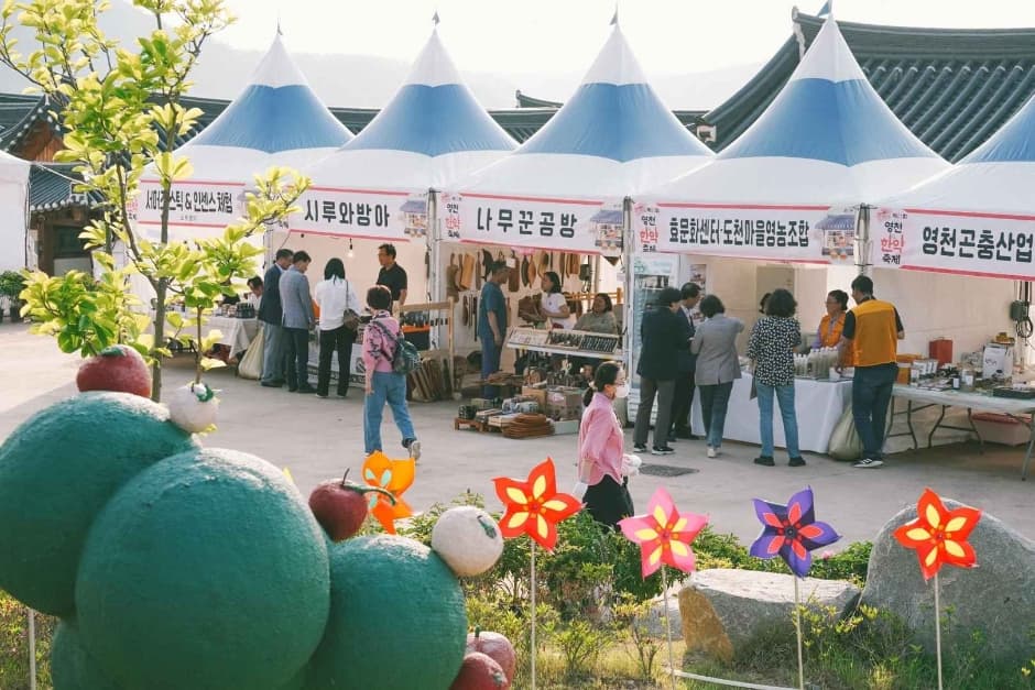 2024 영천한약축제 이미지 10