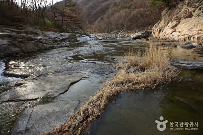 일사대(수성대)_07