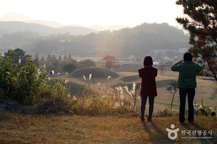 경남_함안 말이산고분군 09