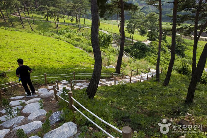 전북_정읍_구절초 향기를 맡으며 추령천을 따라 옥정호까지 힐링산책17
