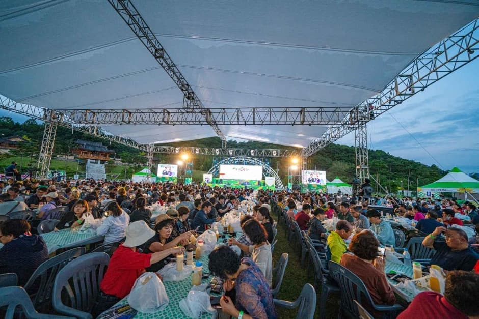 2024 함양산삼축제 6
