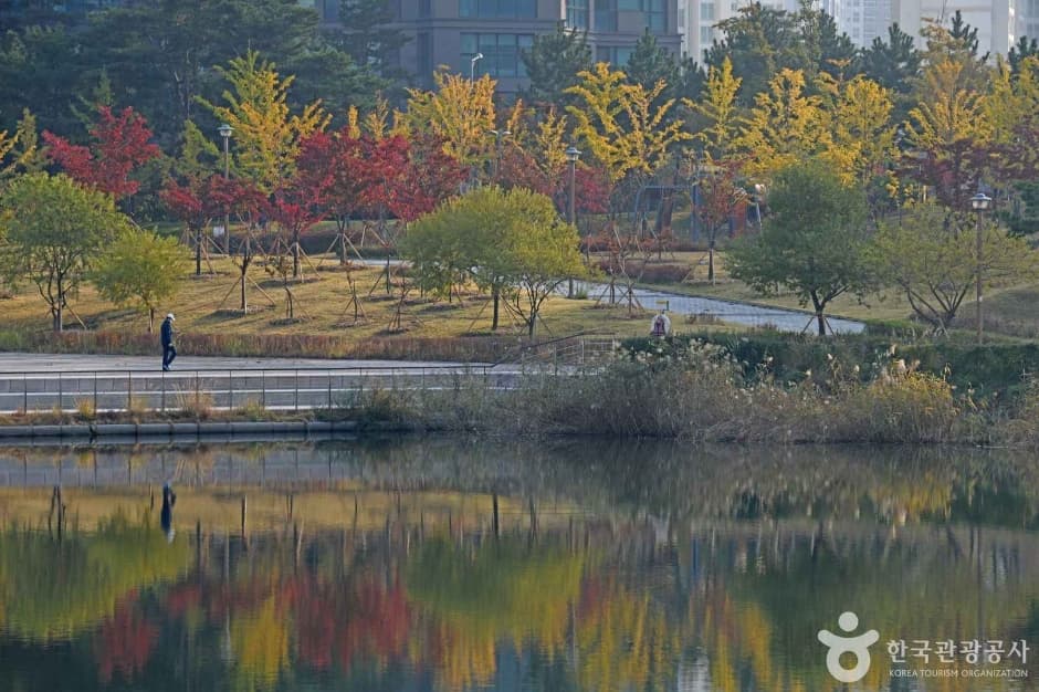 인천_청라호수공원 (3)