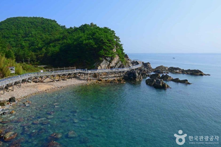 正东深谷海扇路（정동심곡바다부채길）