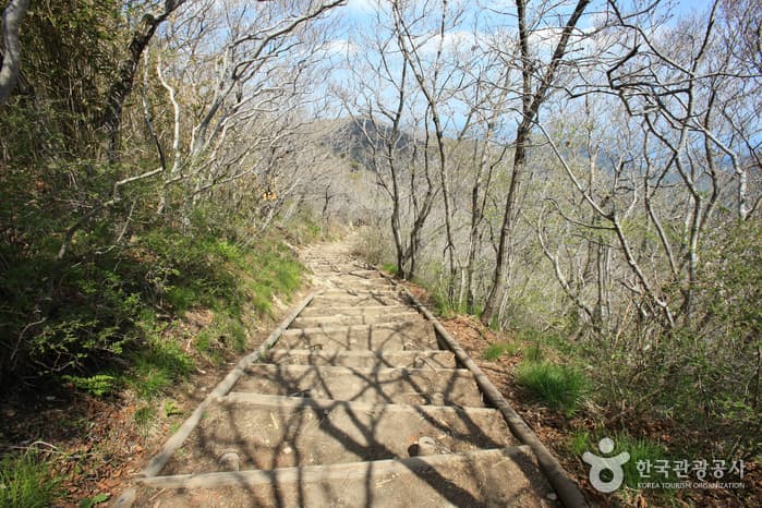 경상남도_남해군_남해 금산_089