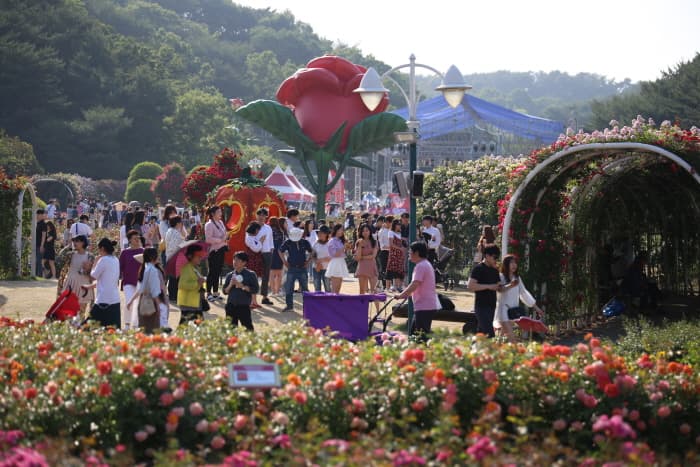  울산대공원 장미축제 2019_교체(2)