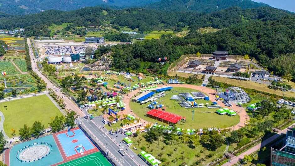 2024 함양산삼축제 1