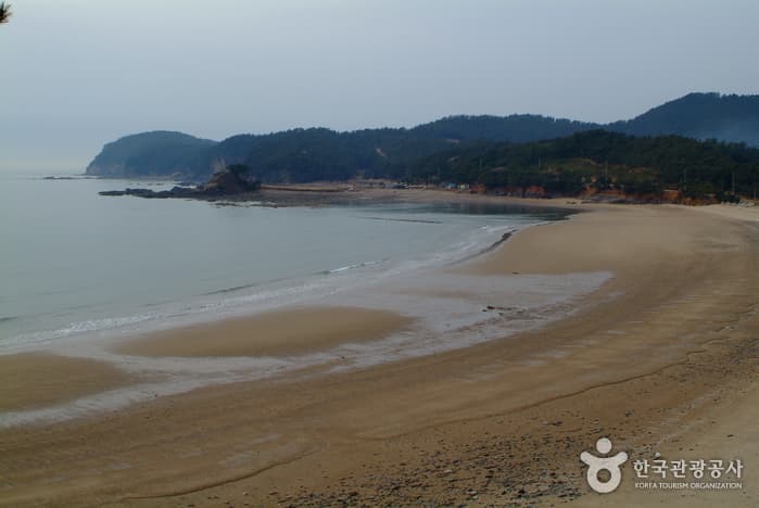 의항해수욕장_04