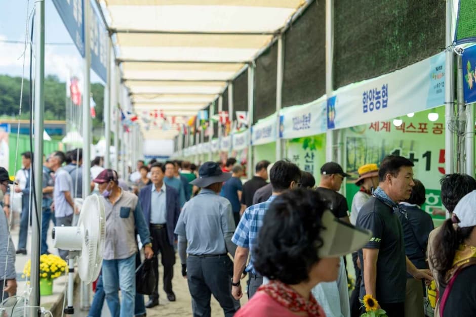 2024 함양산삼축제 2