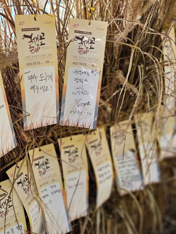 2024 포천 산정호수 명성산 억새꽃축제 3