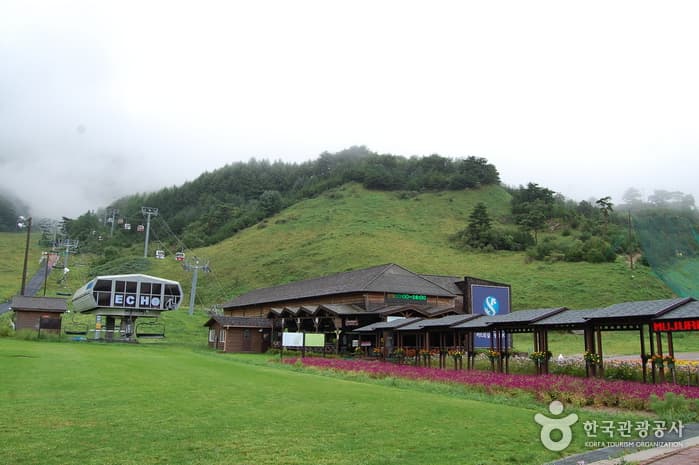 곤도라를 타고 오르는 덕유산 향적봉