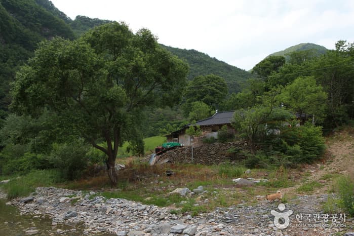 정선덕산기트레킹14