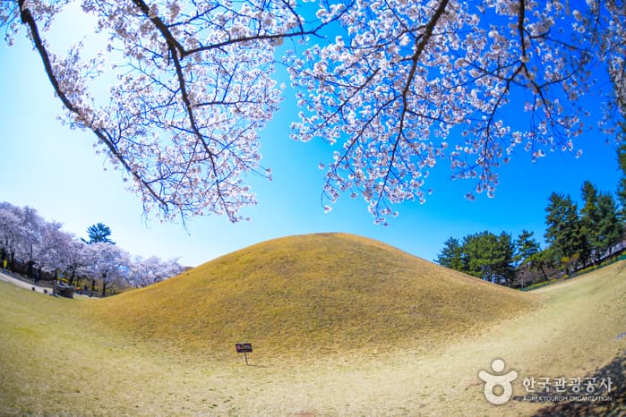 대릉원