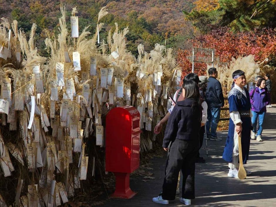 2024 포천 산정호수 명성산 억새꽃축제 1