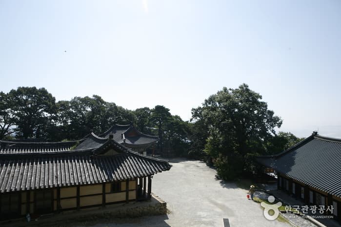 도리사2_도리사 경내